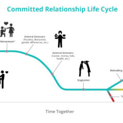 The (Almost) Inevitable Relationship Life Cycle